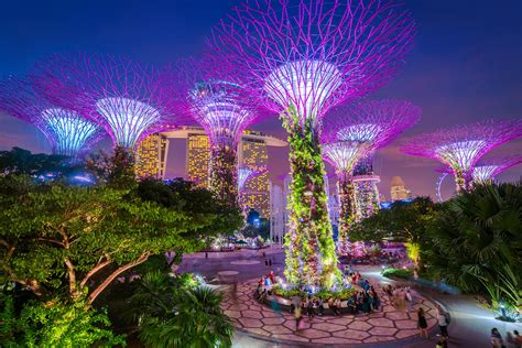 Bay gardens - Aug 1, 2019 · Gardens by the Bay. Address. 18 Marina Gardens Dr, Singapore 018953. Phone +65 6420 6848. Web Visit website. Spanning over 250 acres of reclaimed land, Singapore ’s awe-inspiring and award-winning Gardens by the Bay is a must-see attraction. Located next to Marina Reservoir, the gardens are home to many unique features that impress visitors ... 